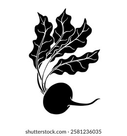 Decorative silhouette, stamp of beet root vegetables. Vector graphics.