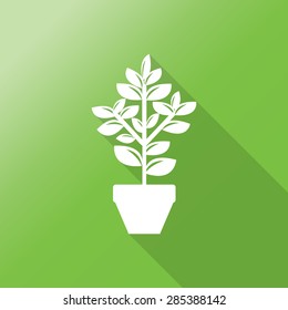 Decorative simple tree flat icon with long shadow.