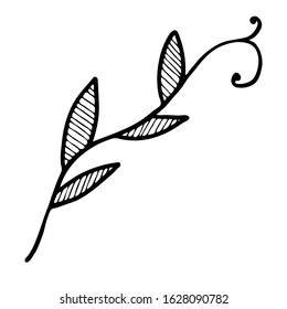 Decorative simple twig with leaves. Leaflets filled with lines. Beautiful plant for cards, congratulations and wedding invitations. Also, a flower is suitable for illustrating a book about animals.