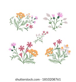 Colección decorativa de flores silvestres simples