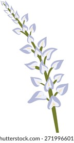 Ilustración de flor de tallo único decorativo