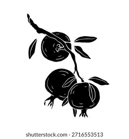 Esboço decorativo de uma raiz de alho. Gráficos vetoriais.