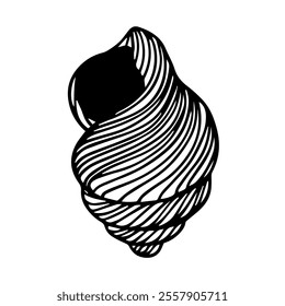 Decorative sketch of sea shell,Vector graphics.
