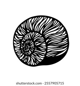 Decorative sketch of sea shell,Vector graphics.