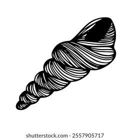 Decorative sketch of sea shell,Vector graphics.