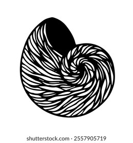Decorative sketch of sea shell,Vector graphics.