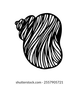 Decorative sketch of sea shell,Vector graphics.