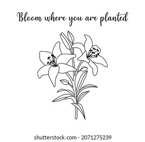 Decorative Slogan with Lily Flower Illustration, Vector Design for Fashion and Poster Prints, Sticker, Wall Art, Poster, T Shirt, Shirt, Fashion Prints, Phone Case, Towel, Napkin