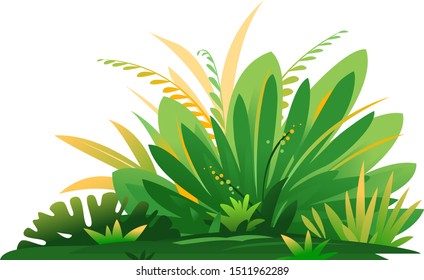 Decorative small composition of jungle plants on ground, group of green plants on the sunny lawn isolated, dense vegetation of the jungle