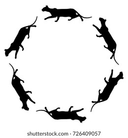Decorative small round frame with silhouettes of sneaking cats. Counter clockwise movement. Halloween emblem, decorative frame, element for design.