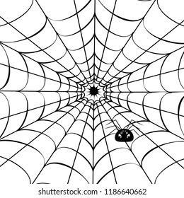 Decorative spider web with cute cartoon spider illustration.