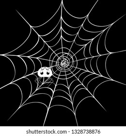 Decorative spider web with cute cartoon spider illustration.