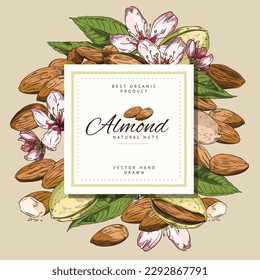 Decorative squared frame with hand drawn almonds, flowers and leaves sketch style, vector illustration isolated on light background. Natural organic food, fresh plant