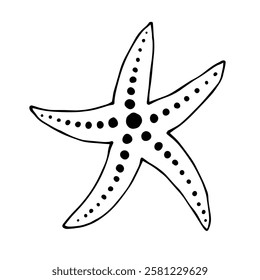 Decorative starfish aquatic animal doodle. Vector graphics.