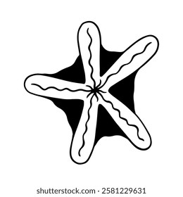 Decorative starfish aquatic animal doodle. Vector graphics.