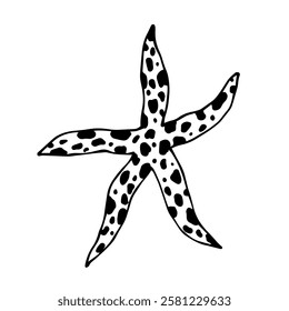 Decorative starfish aquatic animal doodle. Vector graphics.