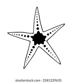 Decorative starfish aquatic animal doodle. Vector graphics.