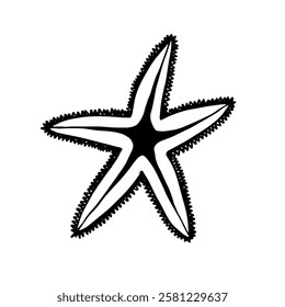 Decorative starfish aquatic animal doodle. Vector graphics.