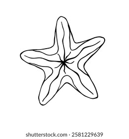 Decorative starfish aquatic animal doodle. Vector graphics.