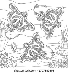 Decorative stingrays with small decor, algae, stones, corals in the sea environment. Hand drawn underwater illustration for coloring book pages.