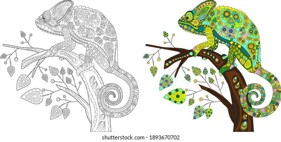 Decorative stylization of a chameleon lizard of different colors sitting on a branch with leaves. Coloring page of chameleon. Vector illustration.