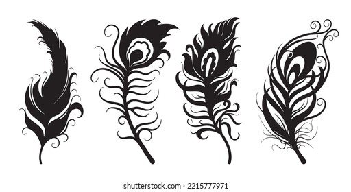 Decorative stylized bird feathers. Vector set. Isolated objects