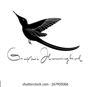 Decorative stylized hummingbird on white background