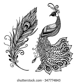 Decorative stylized peacock bird feather art deco design template for wall frames doodle black abstract vector illustration