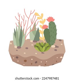 Decorative succulent and cactus in soil flat icon Houseplant. Vector illustration