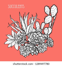Decorative  succulent plants, design elements. Can be used for cards, invitations, banners, posters, print design. Floral background in line art style