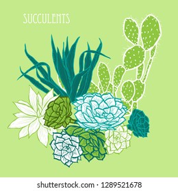 Decorative  succulent plants, design elements. Can be used for cards, invitations, banners, posters, print design. Floral background