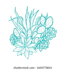Decorative succulent plants, design elements. Can be used for cards, invitations, banners, posters, print design. Floral background in line art style