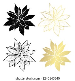 Decorative succulents, design elements. Can be used for cards, invitations, banners, posters, print design. Golden plants