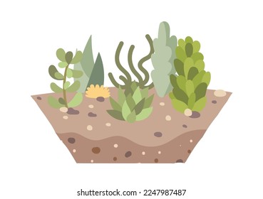 Suculentos decorativos en ícono plano del suelo Planta doméstica. Ilustración del vector