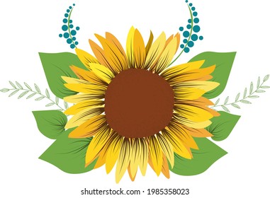 Decorative sunflower with yellow petals and brown middle and leaves, isolated on white background. Concept for postcard, poster, card, invitations and wedding stationery design. 
