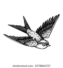 Decorative swallow bird sketch. Hand drawn vector illustration. Vintage flying bird design element. NOT AI generated