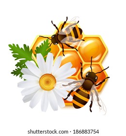 Decorative sweet honeycomb bees and flower camomile emblem vector illustration