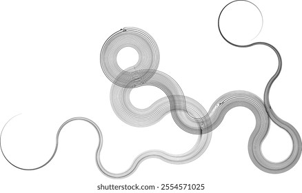 Decorative swirl of line. Intertwined curved lines .Abstract flow linear fluid shapes .Curly design element. Music sound wave . Swirl calligraphic flourish divider ornament design. Curve lines Vector 