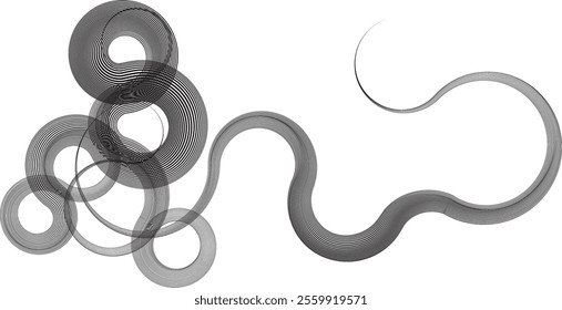 Decorative swirl of line. Intertwined curved lines .Abstract flow linear fluid shapes .Curly design element. Music sound wave . Swirl calligraphic flourish divider ornament design. Curve lines Vector 