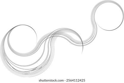 Decorative swirl of line. Intertwined curved lines .Abstract flow linear fluid shapes .Curly design element. Music sound wave . Swirl calligraphic flourish divider ornament design. Curve lines Vector 