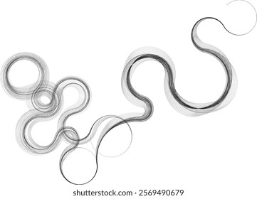 Decorative swirl of line. Intertwined curved lines .Abstract flow linear fluid shapes .Curly design element. Music sound wave . Swirl calligraphic flourish divider ornament design. Curve lines Vector 