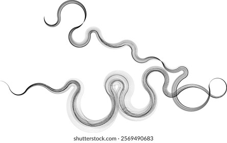 Decorative swirl of line. Intertwined curved lines .Abstract flow linear fluid shapes .Curly design element. Music sound wave . Swirl calligraphic flourish divider ornament design. Curve lines Vector 