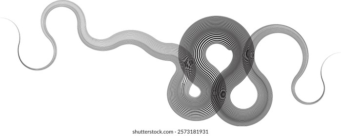 Decorative swirl of line. Intertwined curved lines .Abstract flow linear fluid shapes .Curly design element. Music sound wave . Swirl calligraphic flourish divider ornament design. Curve lines Vector 