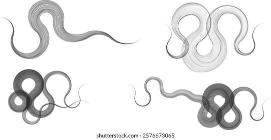 Decorative swirl of line. Intertwined curved lines .Abstract flow linear fluid shapes .Curly design element. Music sound wave . Swirl calligraphic flourish divider ornament design. Curve lines Vector 