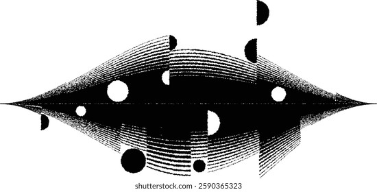  Decorative swirl of line. Roughen curved lines .Abstract flow linear fluid shapes .Curly design element. Music sound wave . Swirl calligraphic flourish divider ornament design. Curve lines Vector