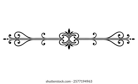 Decorative Symmetric Divider Line with Abstract Floral Motif and Ornamental Filigree Border