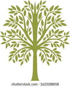 Decorative symmetrical olive tree vector