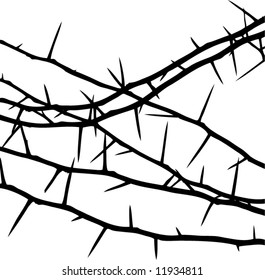 decorative thorns