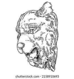 Decorative tiger head drawing. Big feline cat face made of stone. Angry roaring and growling tiger. Vector.