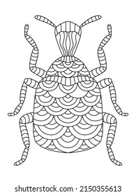 Decorative tooth-nosed snout weevils beetle colouring page for adults vector